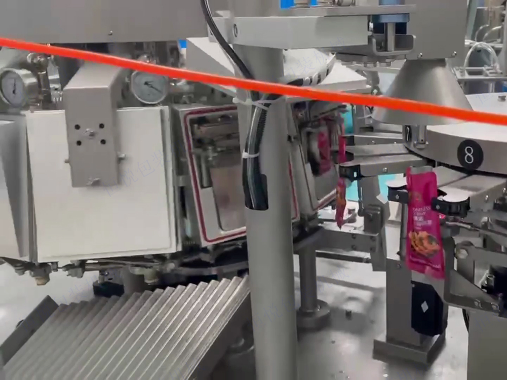 給袋真空包裝機(jī)