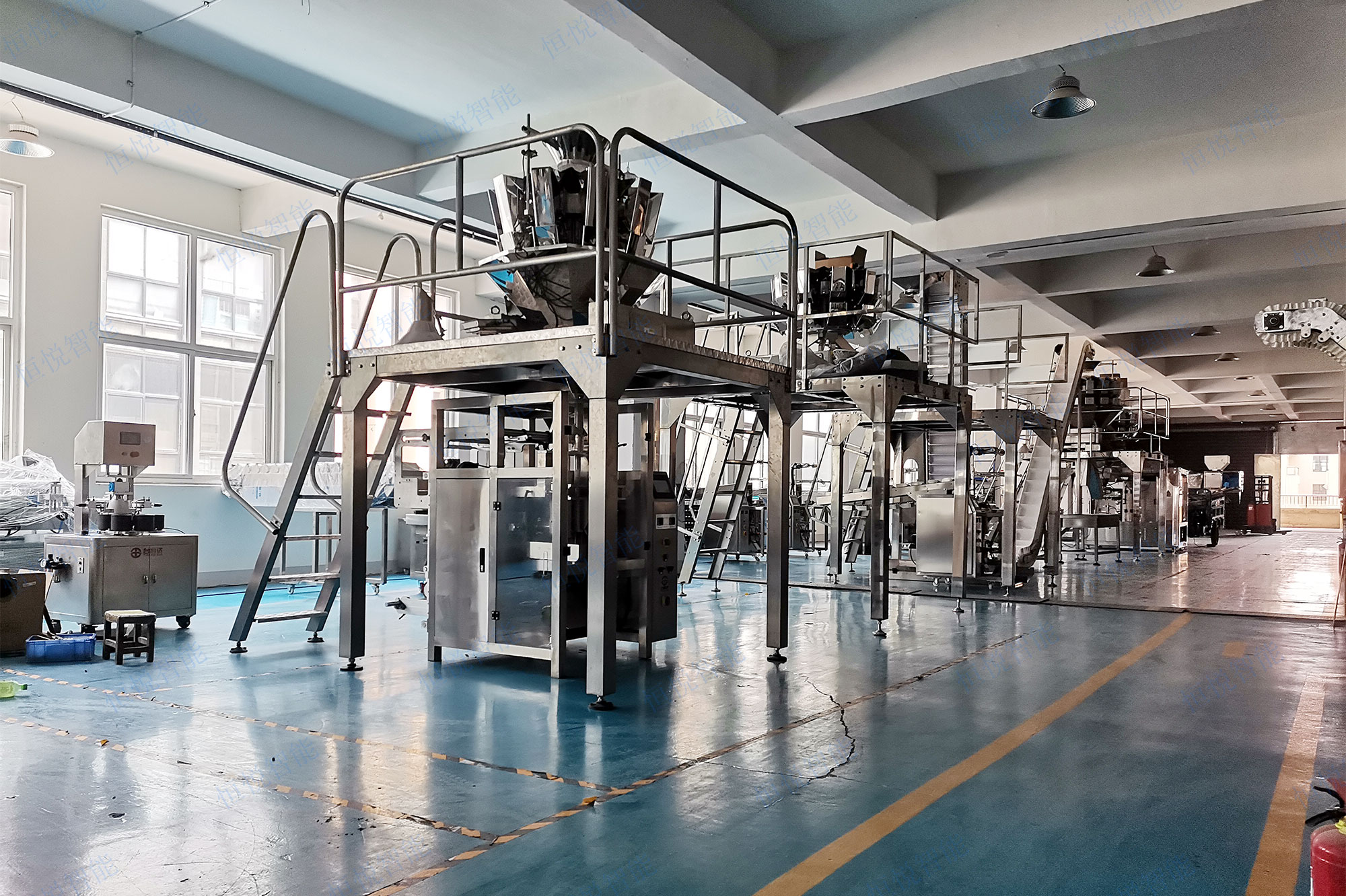 小袋中藥飲片包裝機(jī)